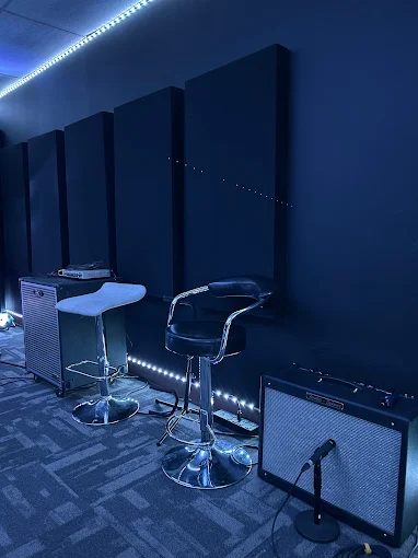 Professional Microphone Setup